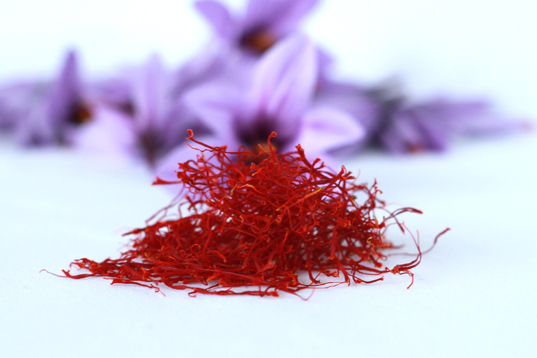 Le Safran - Safran sec en filaments : le flacon fin ...